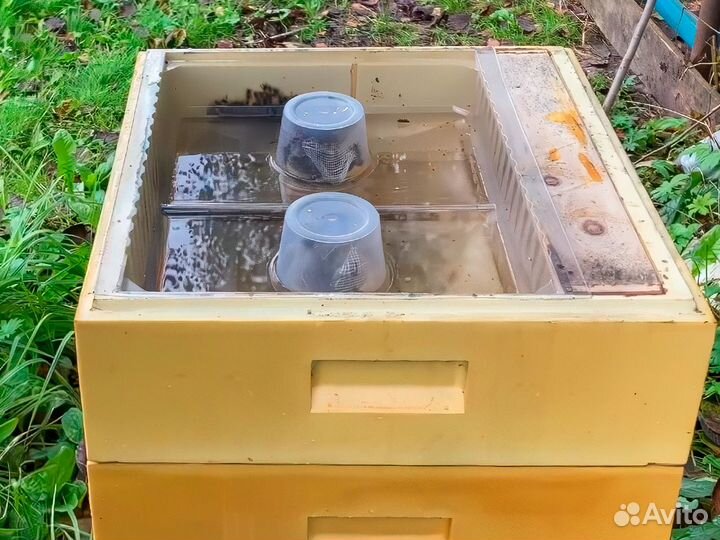 10шт. Надрамочные кормушки для пчёл Василёк 10л