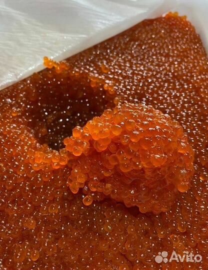 Красная икра оптом. Кета, горбуша, нерка
