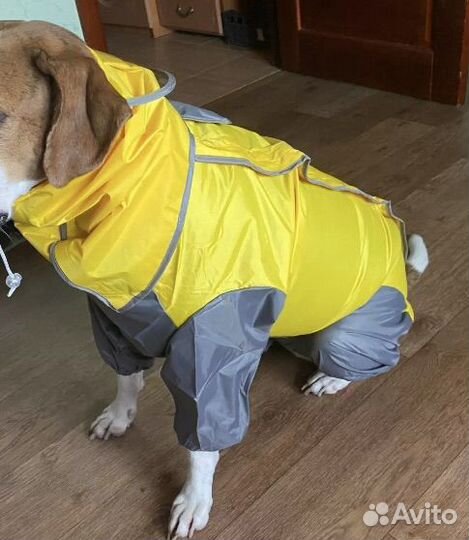 Дождевик для собак