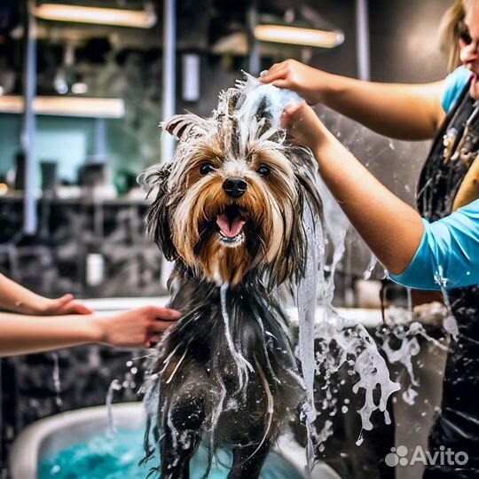 Модель на груминг