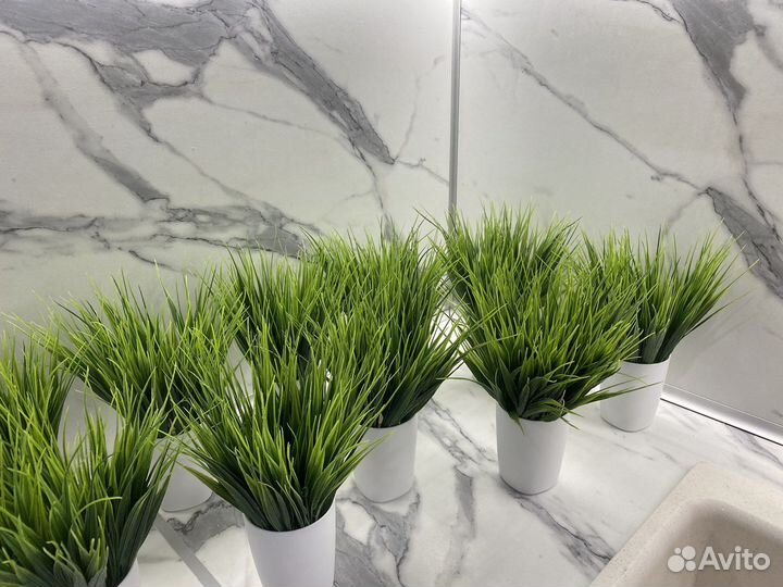 Зелень в кашпо