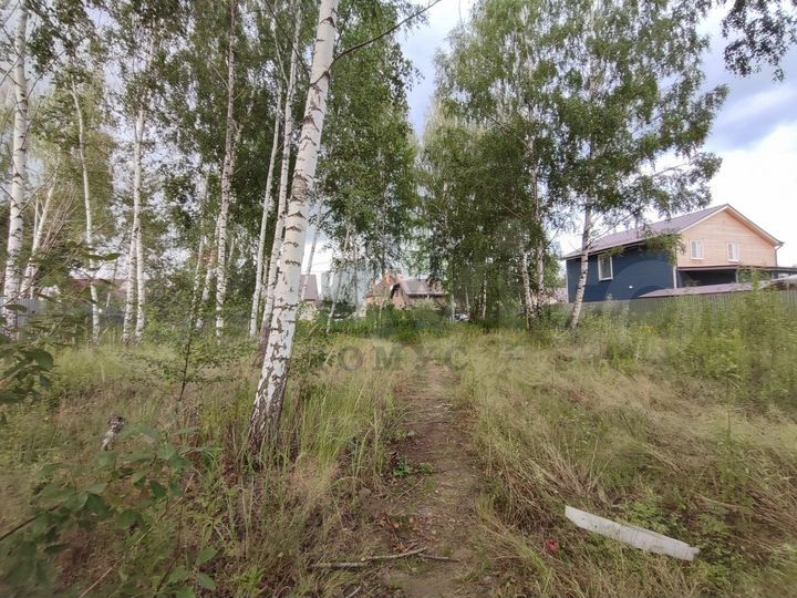 Участок 12,5 сот. (СНТ, ДНП)