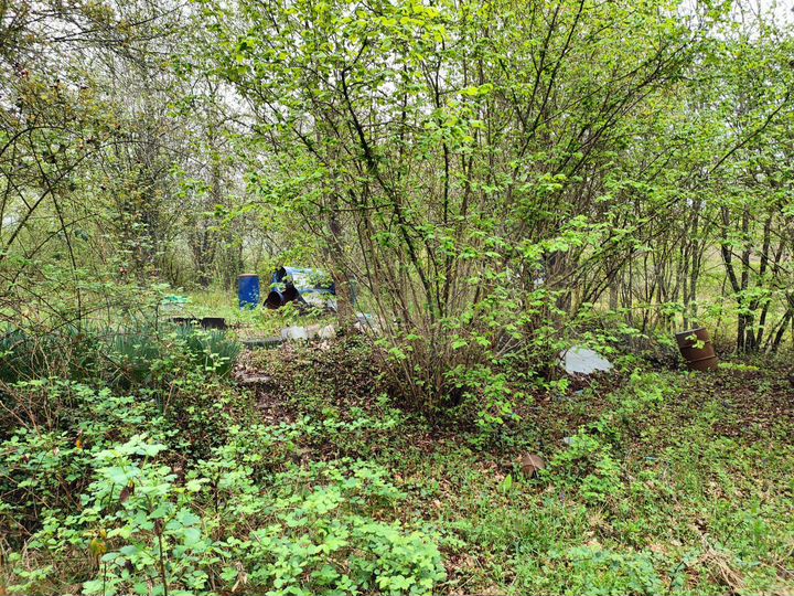 Участок 4 сот. (СНТ, ДНП)