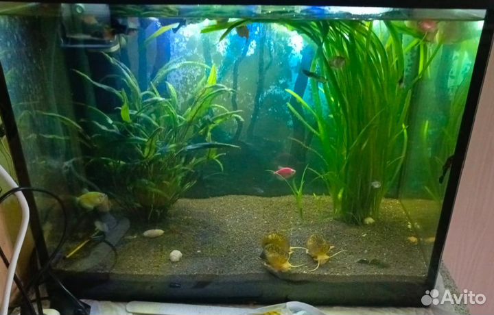 Продам аквариум