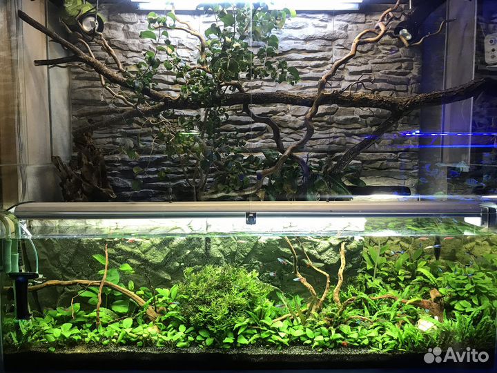Акватеррариум с тумбой, растениями и рыбами