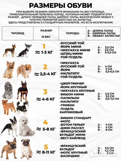 Зимняя обувь для маленькой собаки