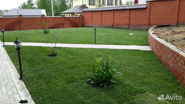 Продажа Рулонного газона, производитель