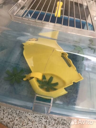 Террариум для рептилий