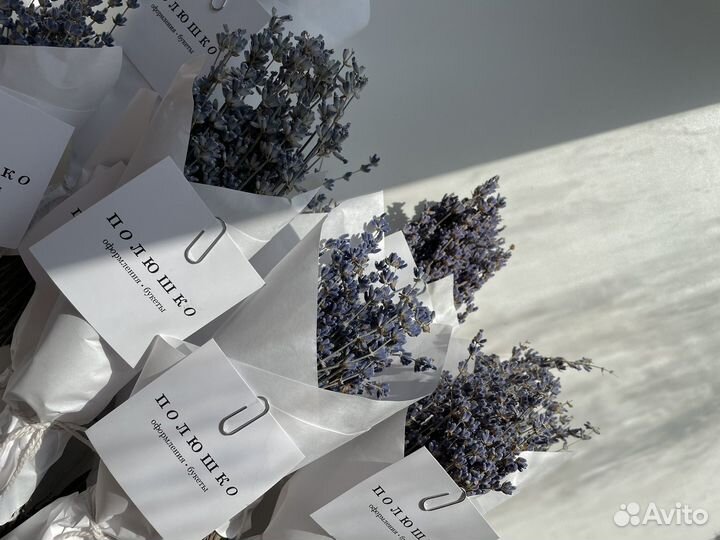 Лаванда сухоцвет