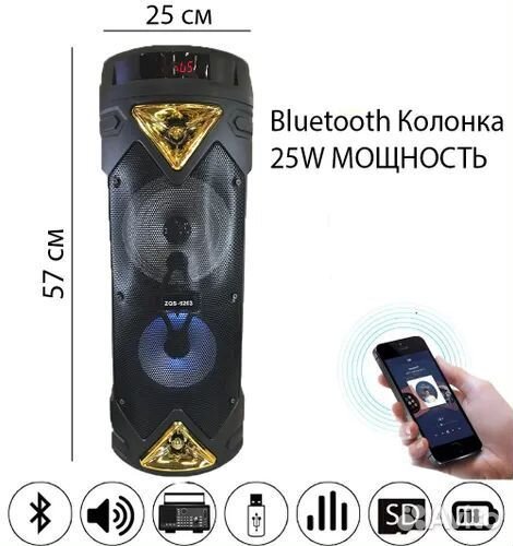 Большая колонка ZQS 6203 с микрофоном