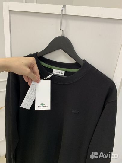 Свитшот Lacoste мужской
