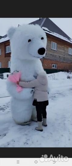 Белый мишка поздравление