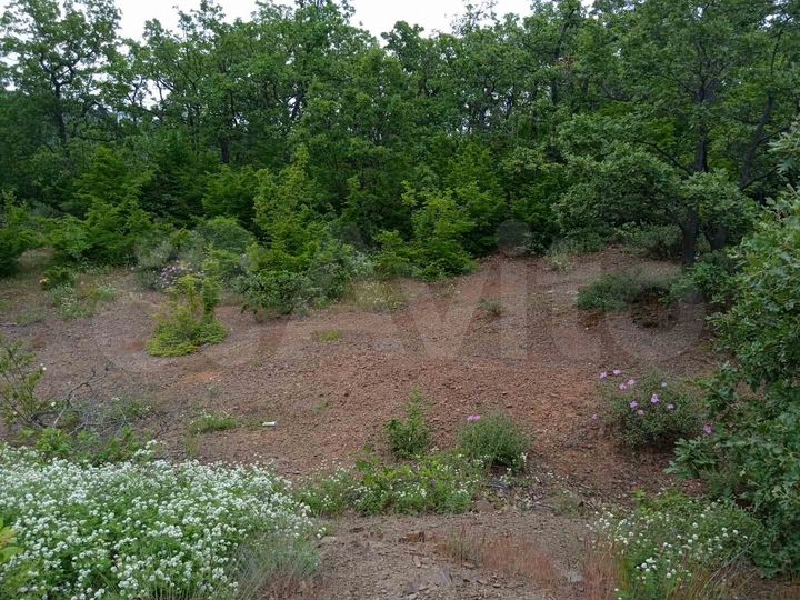 Участок 25,5 сот. (ИЖС)