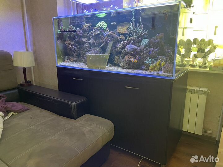 Морской аквариум дл заселения
