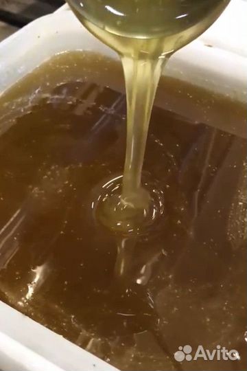 Свежий мёд эспарцет Только опт