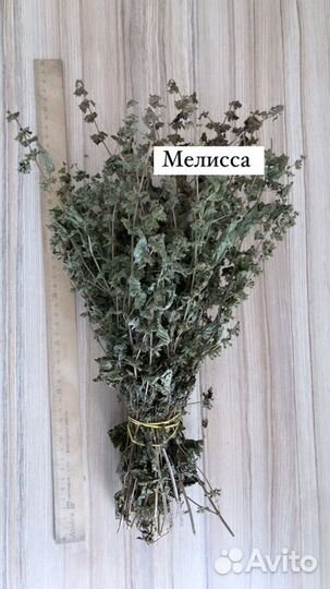 Лекарственные травы