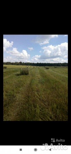 Сено в рулонах