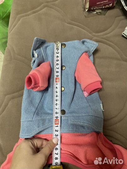 Одежда для маленьких собак