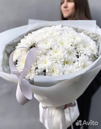 Хризантема кустовая букет из хризантем