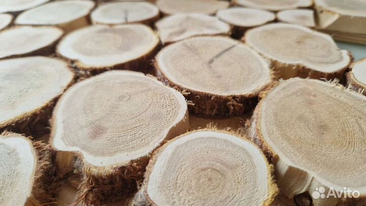 Панно из можжевельника 