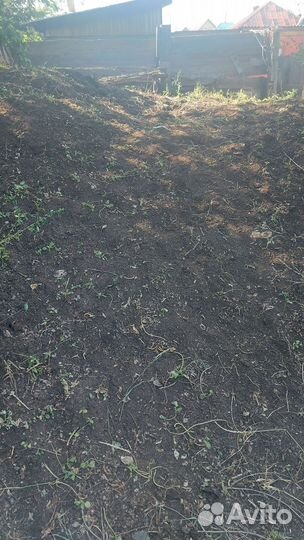 Конский навоз