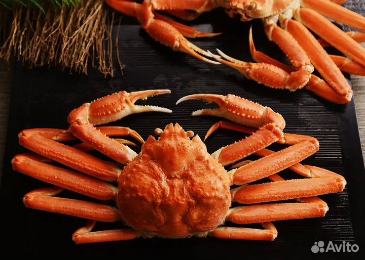 Клешни краба стригуна