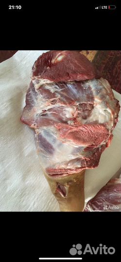 Свинина домашняя