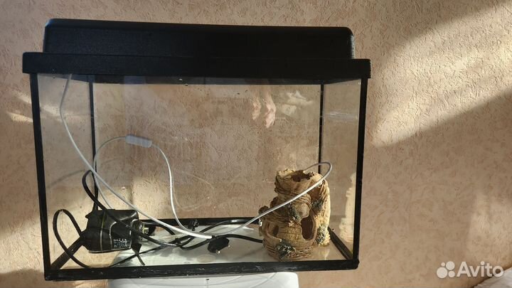 Аквариум