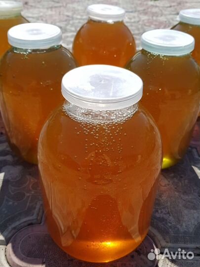 Мед цветочный и лесной первая качка 2023