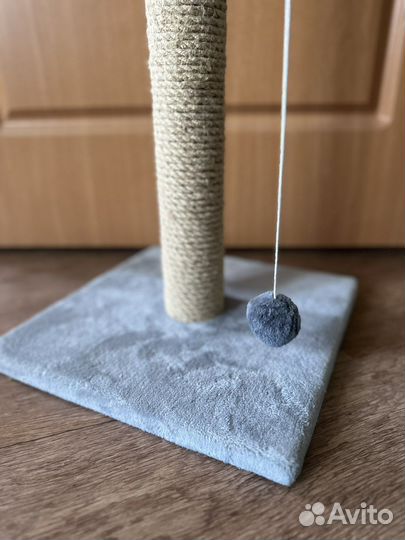 Когтеточка