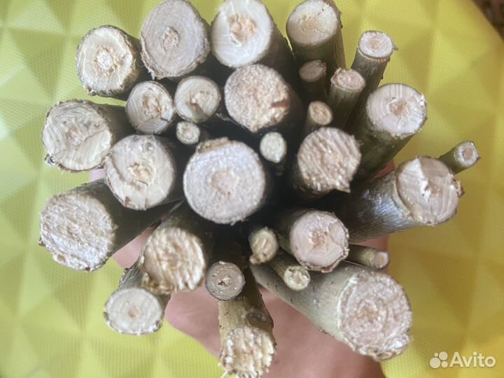 Палочки из ивы