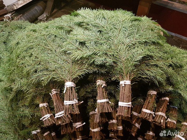 Еловые веникидля бани и сауны