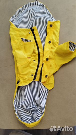 Одежда для собак