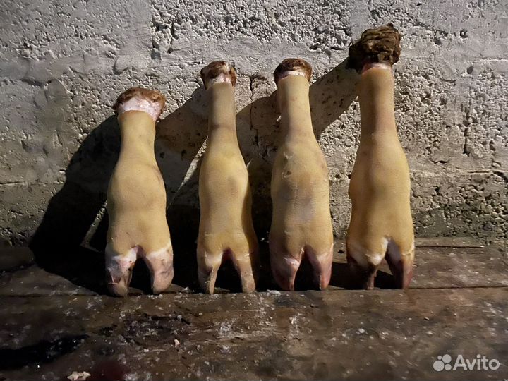 Копыта говяжьи