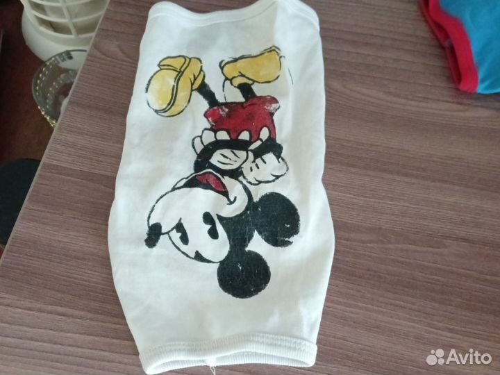 Одежда для маленьких собак xs