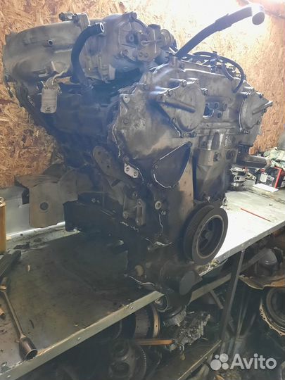 Двигатель nissan teana j31 2,3