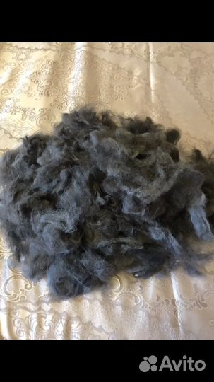 Шерсть животного