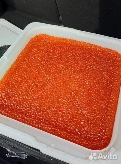 Красная икра горбуши оптом 2023