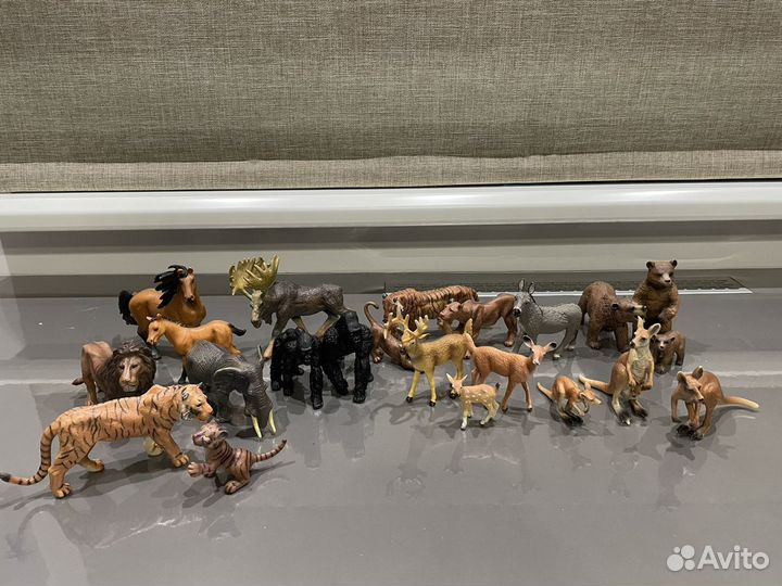 Животные и собаки