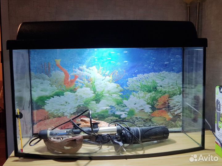 Аквариум