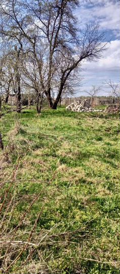 Участок 30 сот. (ИЖС)