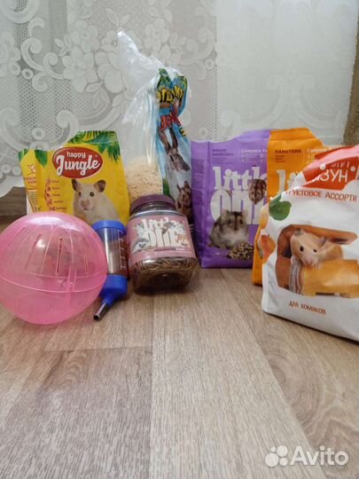 Шар, корм для хомячка Джунгарика