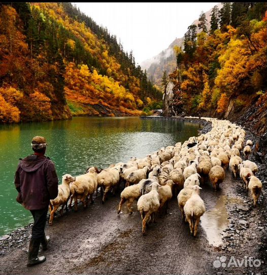 Золотое кольцо Абхазии, Красная Поляна