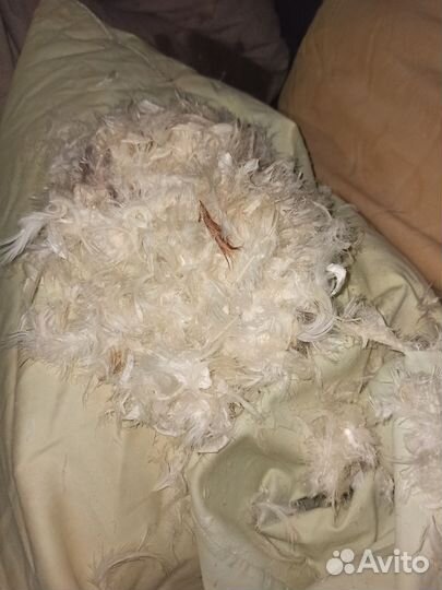 Подушки перины пухперо
