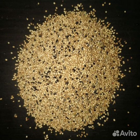 Амарант (семена )