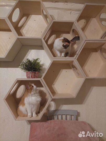 Настенная полка(домик) для кошки