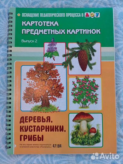 Картотека предметных картинок