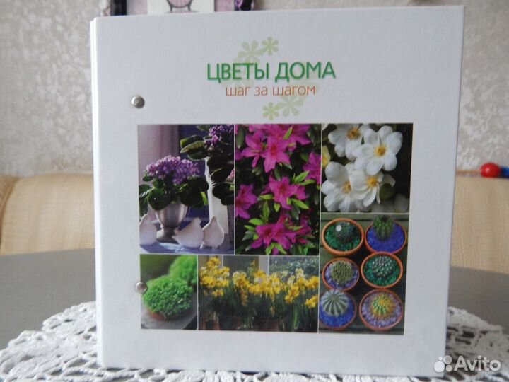 Цветы дома шаг за шагом
