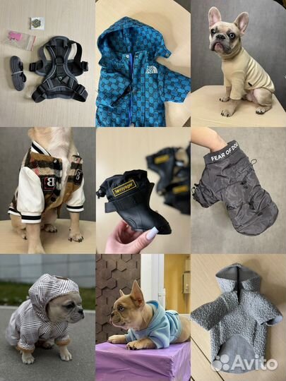 Одежда для собак новая