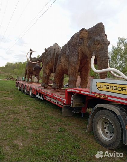 Грузоперевозка негабаритных грузов низкорамным Тралом